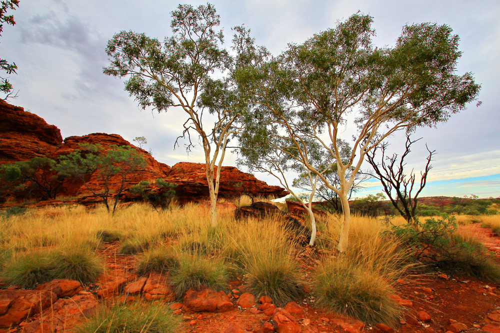 Red,Iron,Rocks,Of,Australian,Outback